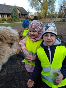 IMG-20191028-WA0001