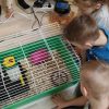 IMG_20210408_085812