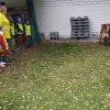 IMG_20220929_131155