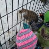 IMG_20221221_120746