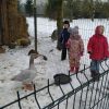 IMG_20221221_121124